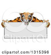 Poster, Art Print Of Cartoon Aggressive Tiger Sports Mascot Holding A Blank Wide Sign
