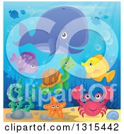 Poster, Art Print Of Cartoon Happy Whale Fish Crab And A Turtle Underwater