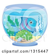 Happy Blue And Purple Fish In A Bowl