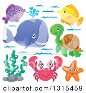 Cartoon Happy Spouting Whale Fish Sea Turtle Starfish Seaweed And Crab