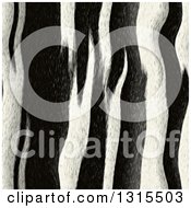 Clipart Of A Seamless Zebra Print Stripe Pattern Background Royalty Free Illustration