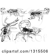 Clipart Of Arizona Desert Hairy Scorpions And Shadows Royalty Free Vector Illustration