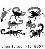 Poster, Art Print Of Black Silhouetted Scorpions