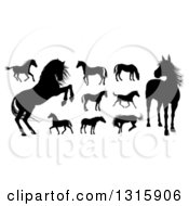 Poster, Art Print Of Black Silhouetted Horses