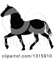 Poster, Art Print Of Black Silhouetted Horse Prancing