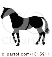 Poster, Art Print Of Black Silhouetted Horse Walking