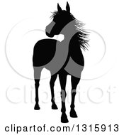 Poster, Art Print Of Black Silhouetted Horse