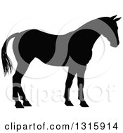 Poster, Art Print Of Black Silhouetted Horse Facing Right