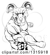 Poster, Art Print Of Black And White Fierce Muscular Ram Man Punching