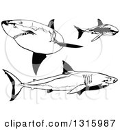 Poster, Art Print Of Black And White Swimming Great White Sharks