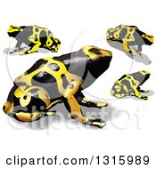 Poster, Art Print Of 3d Yellow And Black Poison Dart Frogs With Shadows