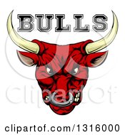 Poster, Art Print Of Mad Snarling Red Bull Mascot Head And Text