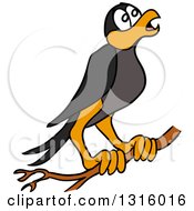 Clipart Of A Cartoon Crow Black Bird Preched On A Branch Royalty Free Vector Illustration