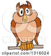 Poster, Art Print Of Cartoon Hooting Owl Perched On A Branch