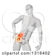 Clipart Of A 3d White Anatomical Man With Visible Skeleton And Glowing Hip Pain On White Royalty Free Illustration