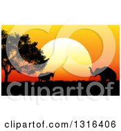 Clipart Of A Silhouetted Acacia Tree Rhinoceros And Elephant Against An African Safari Sunset Royalty Free Vector Illustration