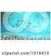 Poster, Art Print Of 3d Underwater Scene With Schooling Tropical Fish And Pebbles