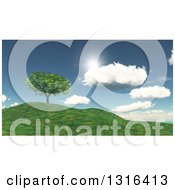 Poster, Art Print Of 3d Green Tree On A Grassy Hill With Sunshine And Clouds