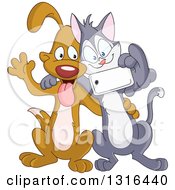 Cartoon Cat And Dog Posing To Take A Selfie