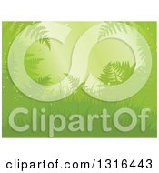 Clipart Of A Magical Forest Background With Grasses And Ferns Over Green Royalty Free Vector Illustration