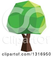Clipart Of A Low Poly Geometric Mature Tree Royalty Free Vector Illustration