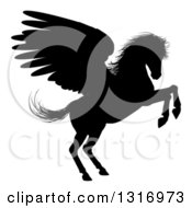 Poster, Art Print Of Black Silhouetted Rearing Winged Pegasus Horse