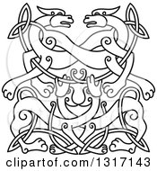 Poster, Art Print Of Lineart Celtic Knot Wolf Or Dog Design