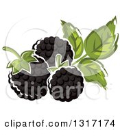 Cartoon Blackberries And Leaves