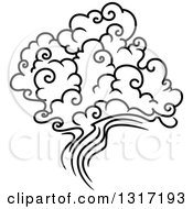 Poster, Art Print Of Black And White Swirly Cloud And Wind 2