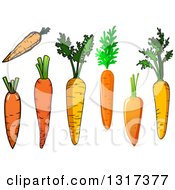 Clipart Of Cartoon Carrots Royalty Free Vector Illustration