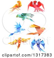 Poster, Art Print Of Origami Paper Parrots 5