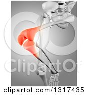 Poster, Art Print Of 3d Human Skeleton With Highlighted Knee Pain On Gray