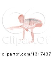 Clipart Of A 3d Anatomical Woman In A Yoga Pose With Visible Skeleton On White Royalty Free Illustration