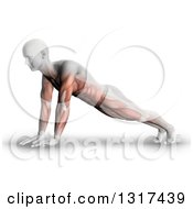 Poster, Art Print Of 3d Anatomical Man In A Push Up Or Yoga Pose With Visible Muscle Map On White