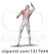 Clipart Of A 3d Rear View Of An Anatomical Man With Visible Upper Back Muscles On White Royalty Free Illustration