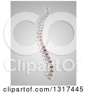 Clipart Of A 3d Full Human Spine With Red Discs Highlighted Over Gray Royalty Free Illustration