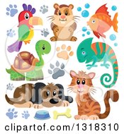 Poster, Art Print Of Cartoon Dog Parrot Hamster Fish Chameleon Tortoise And Cat With Paw Prints