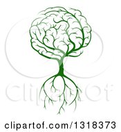 Poster, Art Print Of Green Brain Tree With A Roots