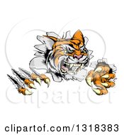 Poster, Art Print Of Snarling Tiger Mascot Slashing Through A Wall