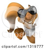 3d Casual Squirrel Wearing A White T Shirt And Sunglasses Holding An Acorn Around A Sign