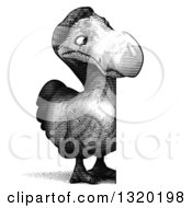 Clipart Of A Grayscale Printed Styled Full Length Dodo Bird Looking Around A Sign Royalty Free Illustration
