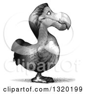 Clipart Of A Grayscale Printed Styled Dodo Bird Facing Right Royalty Free Illustration