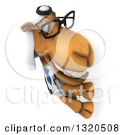 Clipart Of A 3d Bespectacled Arabian Doctor Camel Looking Around A Sign Royalty Free Illustration