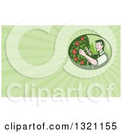 Retro Woodcut Farmer Pruning Apple Trees In An Orchard And Green Rays Background Or Business Card Design