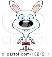 Poster, Art Print Of Cartoon Happy Karate Rabbit