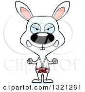 Poster, Art Print Of Cartoon Mad Karate Rabbit