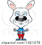Poster, Art Print Of Cartoon Mad White Rabbit Super Hero