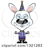 Poster, Art Print Of Cartoon Mad Rabbit Wizard