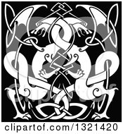 Clipart Of White Celtic Knot Dragons On Black 3 Royalty Free Vector Illustration