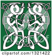Clipart Of White Celtic Knot Dragons On Green 2 Royalty Free Vector Illustration